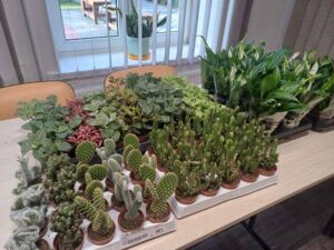 realizacja-zadan-rops31