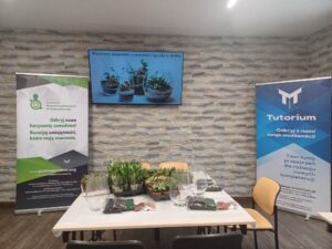 realizacja-zadan-rops32