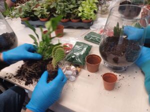 realizacja-zadan-rops47