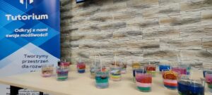 realizacja-zadan-rops66